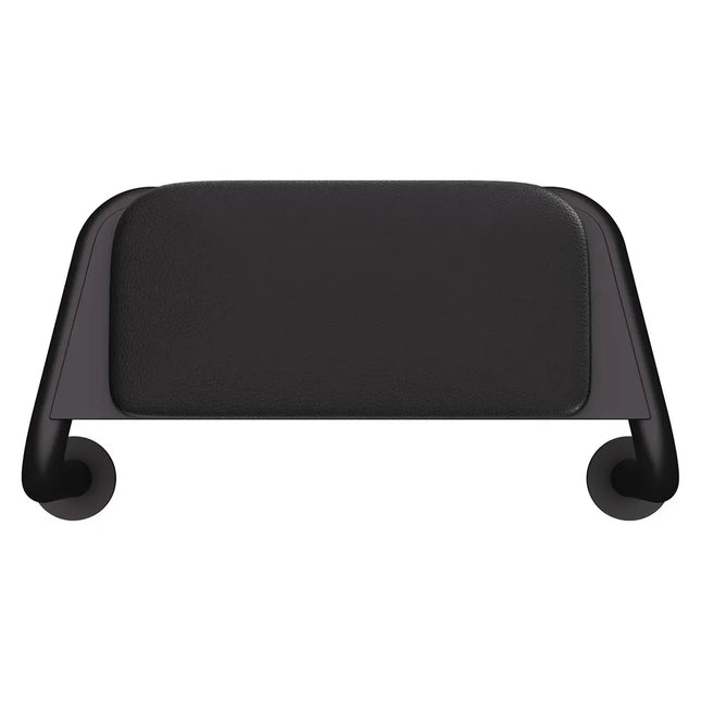 Fienza Stainless Steel Back Rest Matte Black For Accessible Toilet ,