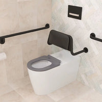 Fienza Stainless Steel Back Rest Matte Black For Accessible Toilet ,