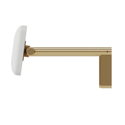 Fienza Care Back Rest Brass Gold