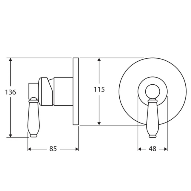 Fienza Eleanor Wall Mounted Shower Mixer Brushed Nickel ,