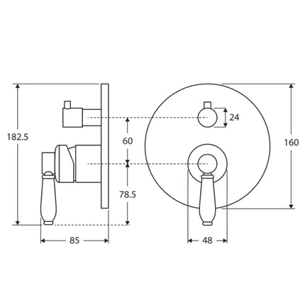 Fienza Eleanor Wall Mounted Shower Diverter Mixer Gold ,