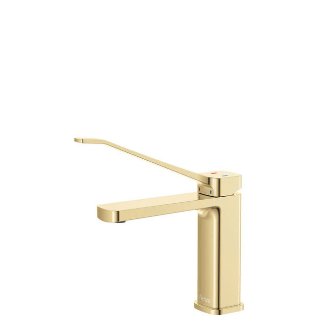 Fienza Tono Care Basin Mixer Brass Gold, 3 Sizes