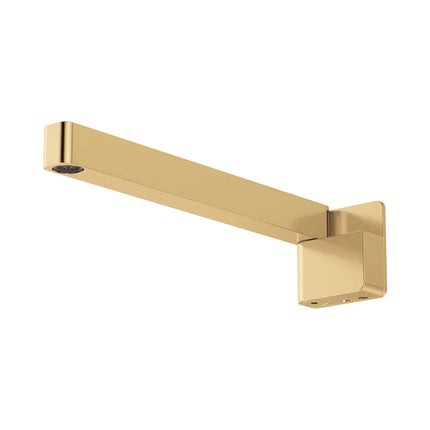 Fienza Tono Swivel Bath Outlet Brass Gold ,