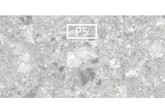 Outdoor Terrazzo Light Grey External 300X600 ,