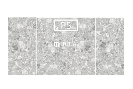 Outdoor Terrazzo Light Grey External 300X600 ,