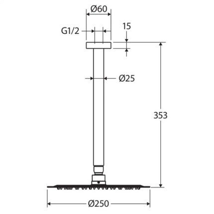 Fienza Kaya Gun Metal Ceiling Shower Head Set ,