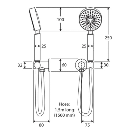 Fienza Michelle Chrome Hand Shower ,