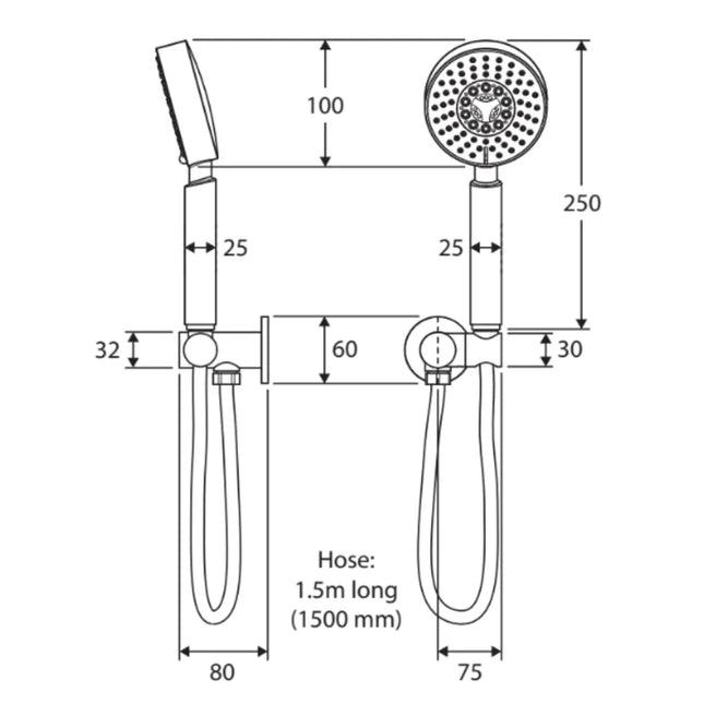 Fienza Michelle Chrome Hand Shower ,