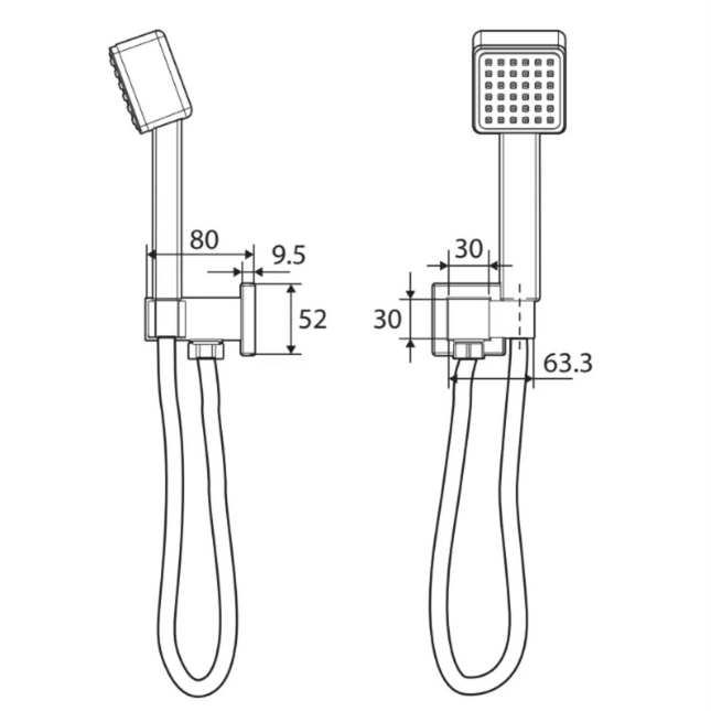 Fienza Modena Chrome Hand Shower ,