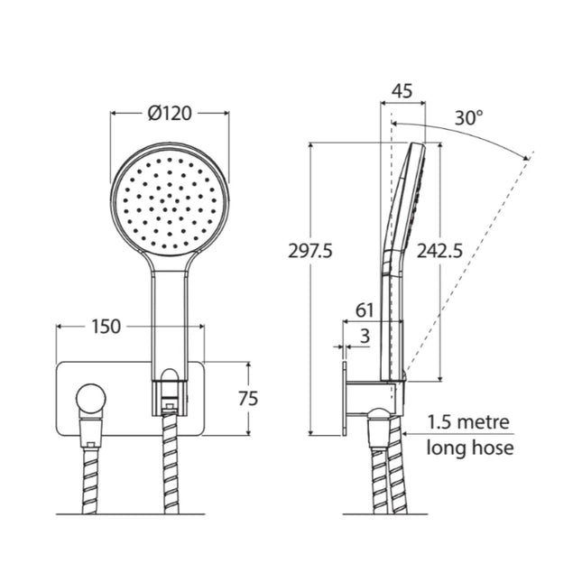 Fienza Kaya Matte Black Hand Shower, Soft Square Plate ,