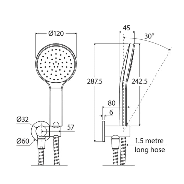 Fienza Kaya Chrome Hand Shower, Round Plate ,