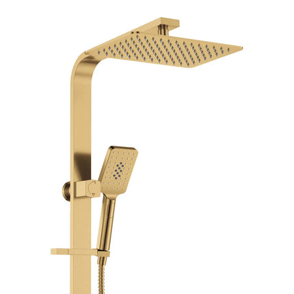 Fienza Tono Deluxe Twin Shower Brass Gold