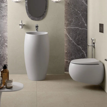 Fienza RAK Cloud Wall Hung Toilet Suite Matte White ,