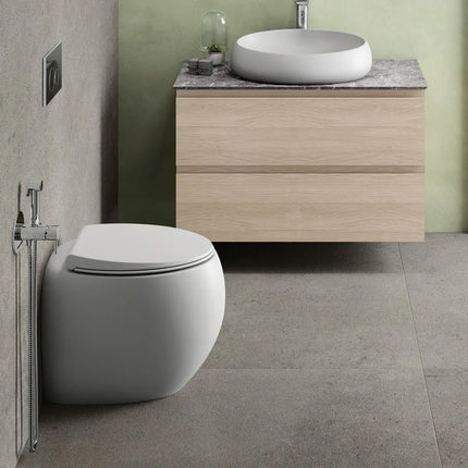 Fienza RAK Cloud Wall-Faced Toilet Suite Matte White ,