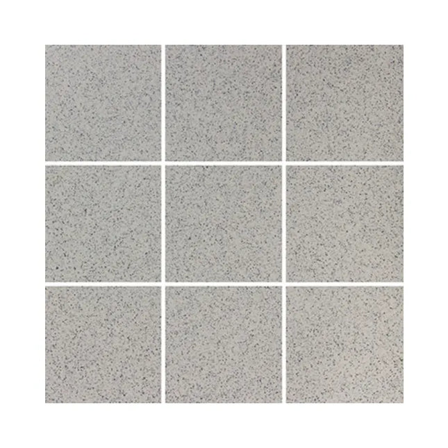 Granito Silver Matt 100X100