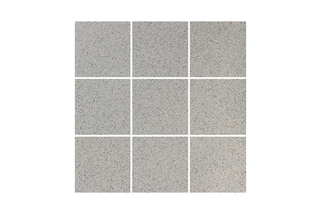 Granito Silver Matt 100X100
