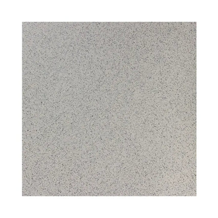 Granito Silver Matt 200X200