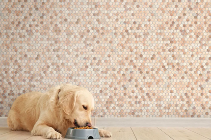 Avon Rosa Portogallo Penny Round Honed 23X23