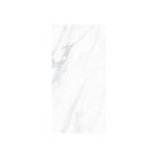 Polished 300X600