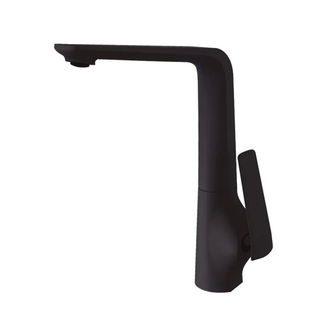 Kitchen Speranza Black Sink Mixer ,