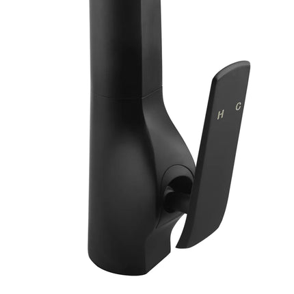 Kitchen Speranza Black Sink Mixer ,