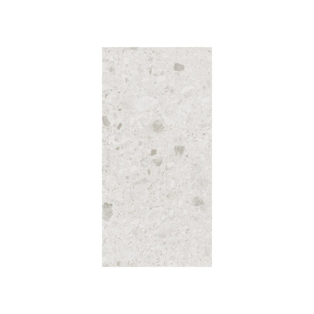 In/Out Terrazzo Look Parma Light SurfaceTec , 300X600