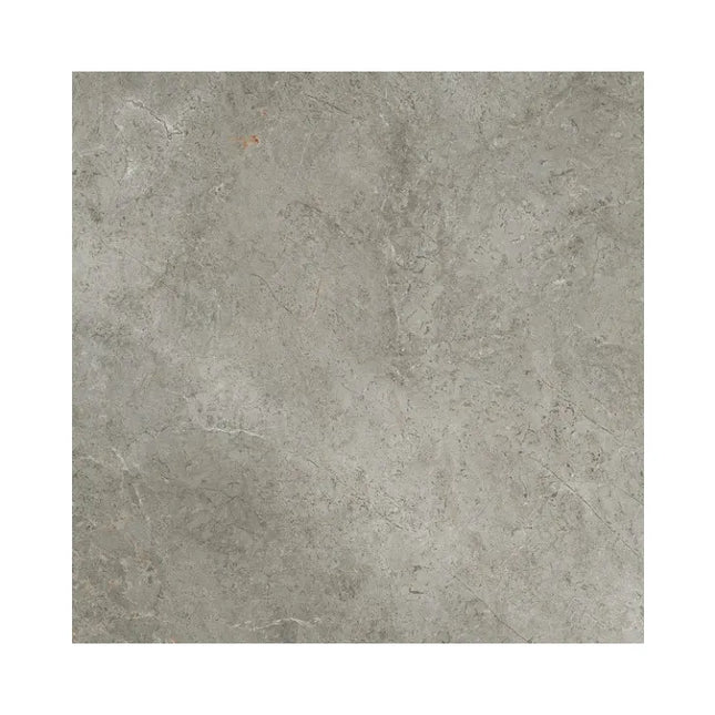 Stone Look Universe Silver Matt 600X600