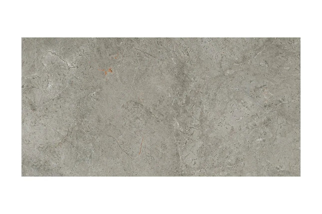 Stone Look Universe Silver Matt 600X1200