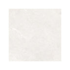 600X600