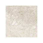 600X600