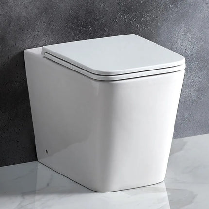 Essex Rimless Wall Faced Floor Pan Toilet Gloss White 600X350X410