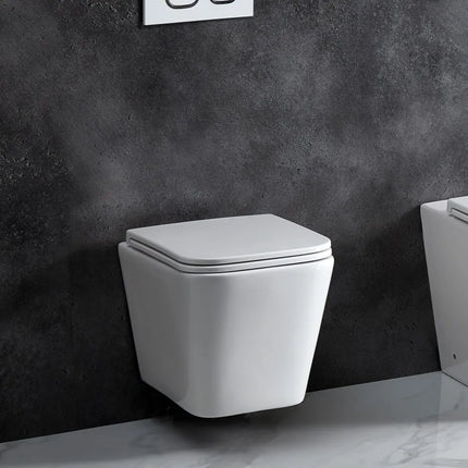 Essex Rimless Wall Hung Pan Toilet Gloss White 490X340X350mm