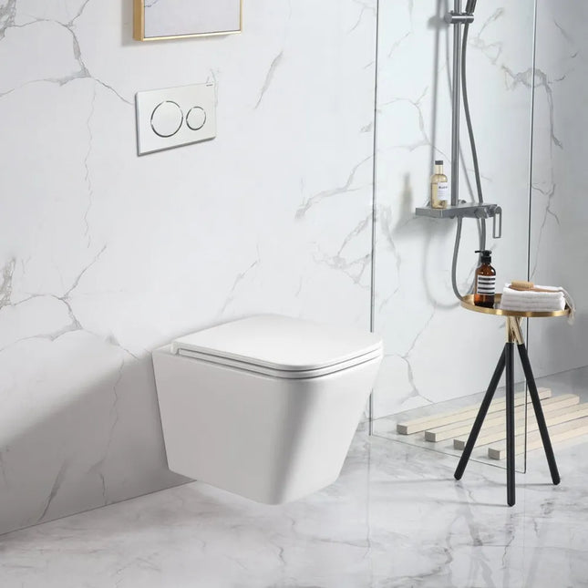 Essex Rimless Wall Hung Pan Toilet Gloss White 490X340X350mm ,