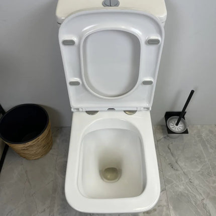 Essex Rimless Back to Wall Toilet Suite Gloss White 605X340X810