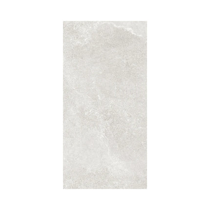 Litton Ice Silver SurfaceTec 600X1200