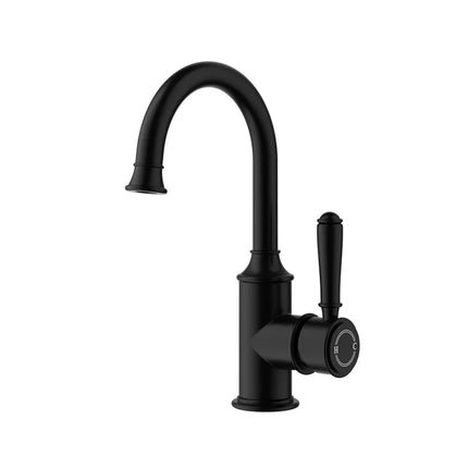 Ikon Clasico Gooseneck Basin Mixer Matt Black