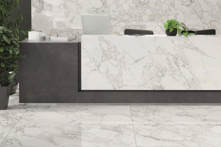 Marvel Marble Arabescato Porcelain Natural R9 600X1200