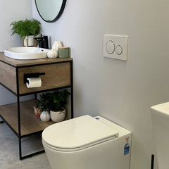 Collection image for: In Wall Toilet Push Button