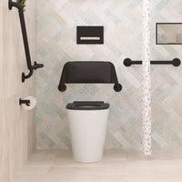 Fienza Isabella Care Back to Wall Toilet Suite, Black Seat ,
