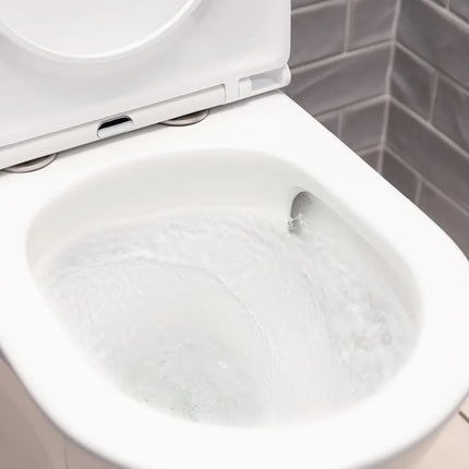 Fienza Tono Back-to-Wall Toilet Suite Slim Seat Tornado Rimless Ultra Quiet Flush Gloss White ,