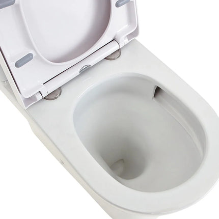 Fienza Tono Back-to-Wall Toilet Suite Tornado Rimless Ultra Quiet Flush Gloss White ,