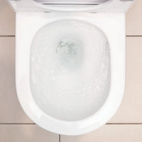 Fienza Aluca Back-to-Wall Toilet Suite Slim Seat Tornado Rimless Ultra Quiet Flush Gloss White ,