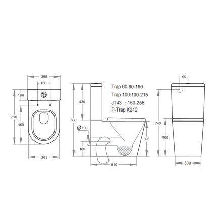 Stella Rimless Back to Wall Toilet Suite Gloss White 710x390x830 ,