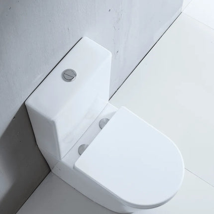 Louise Rimless Back to Wall Toilet Suite Gloss White 620X 365X830