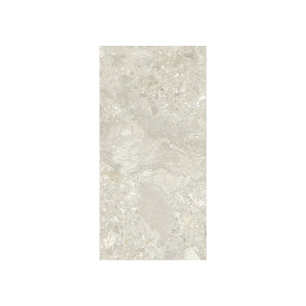 Terrazzo Look Silex Terra Matt , 300X600