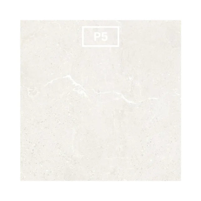 In/Out Marble Look Mona Cloud Paver 600X600X20