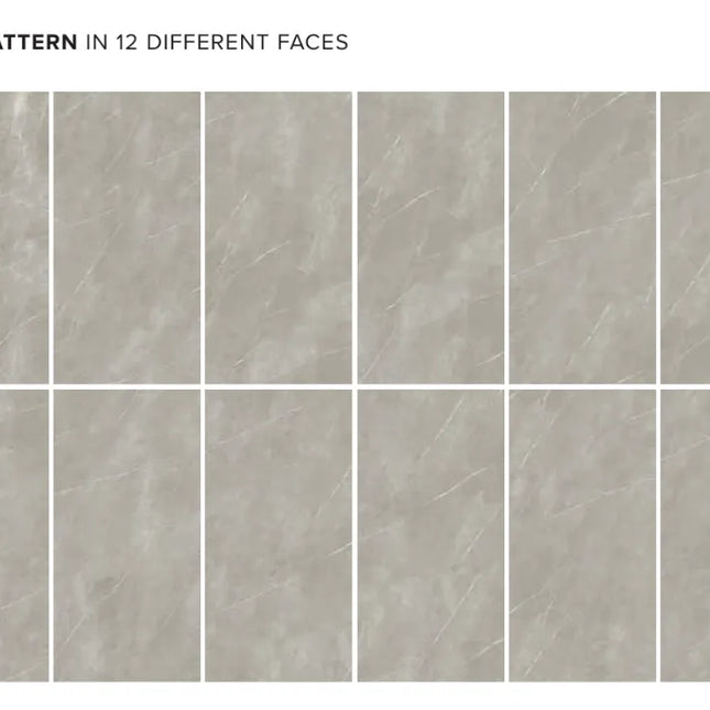 Megaslim Slab Pietra Grey Light Natural 2700X1200X6