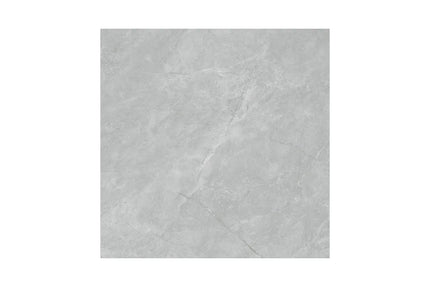 Stone Look Oregon Grey 600X600 Matte / Polished