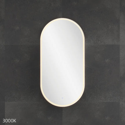 Fienza Pill LED Mirror Cabinet