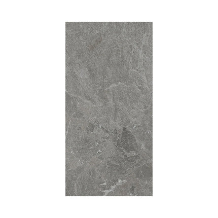 Pallaso Silver 600X1200 Matt ,